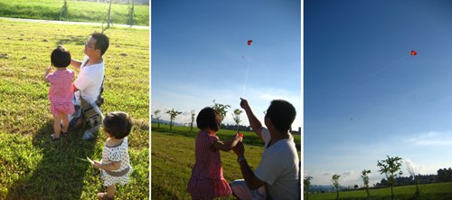 flying kite03.jpg