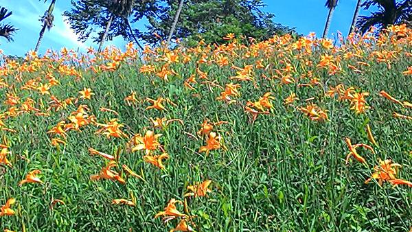 P_20140706_101425_BF P_20140706_101425_BF