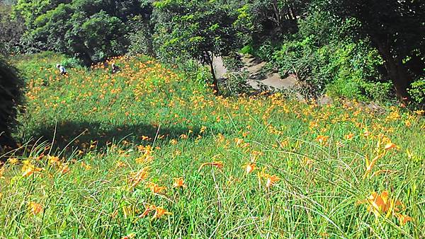 P_20140706_101454_BF P_20140706_101454_BF