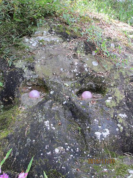 鹿谷景點:鹿谷鳳凰山 鳳凰眼 5鹿谷故事館背包客棧溪頭民宿 lugustoryhouse backpacker hostel