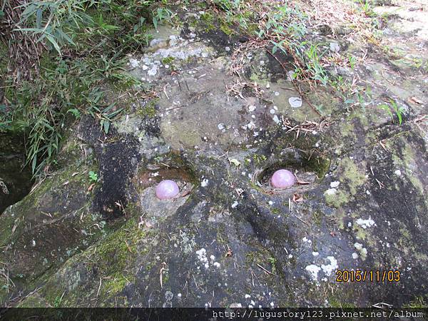 鹿谷景點:鹿谷鳳凰山 鳳凰眼 7鹿谷故事館背包客棧溪頭民宿 lugustoryhouse backpacker hostel