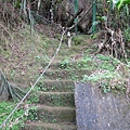 鹿谷景點:登鳳凰山借鳳凰眼1