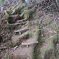 鹿谷景點:登鳳凰山借鳳凰眼2