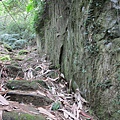 鹿谷景點:登鳳凰山借鳳凰眼3