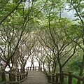 鹿谷景點: 麒麟潭 鳳凰山登山步道3