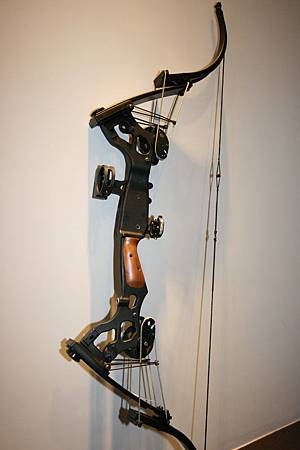 複合弓 弓箭之美compound Bow 生活的新樂章 痞客邦