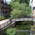 Great Stour-4.jpg