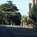 Ashford Green6.JPG