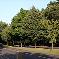 Ashford Green8.JPG