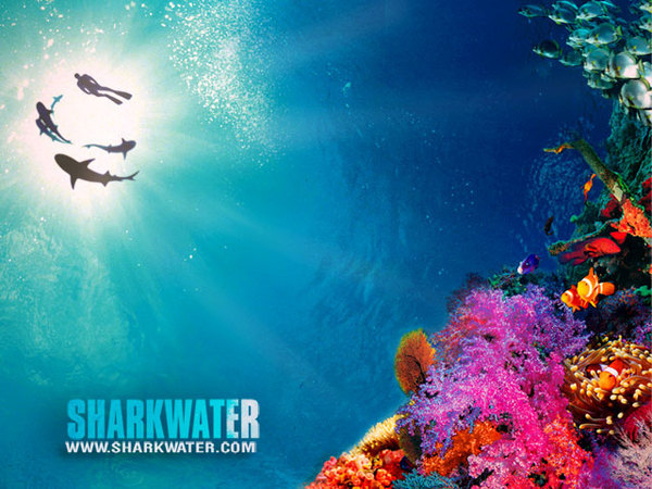 sharkwater_reef_640x480.jpg