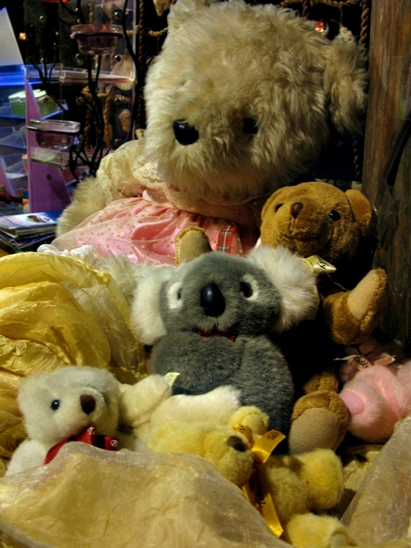 IMG_8236.JPG IMG_8236.JPG