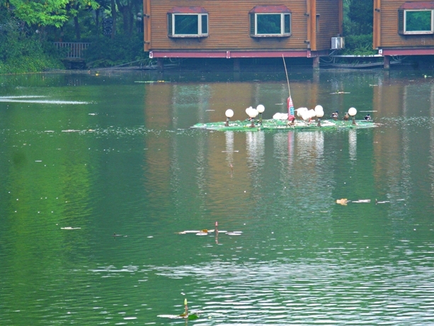 IMG_8492.JPG IMG_8492.JPG