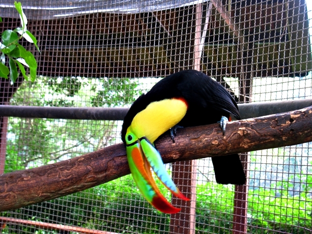IMG_8782.JPG IMG_8782.JPG