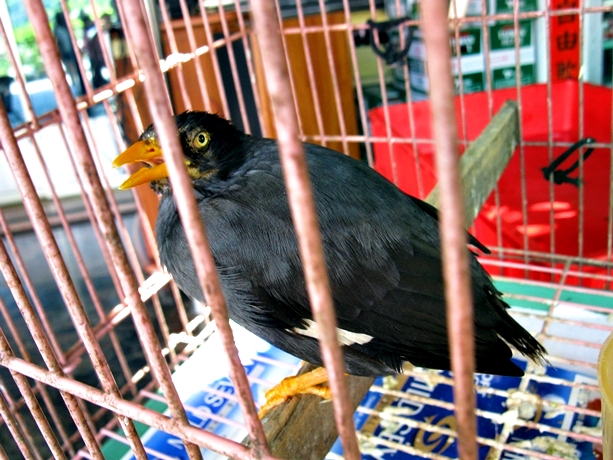 IMG_9598.JPG IMG_9598.JPG