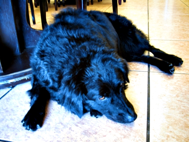 IMG_0415.JPG IMG_0415.JPG