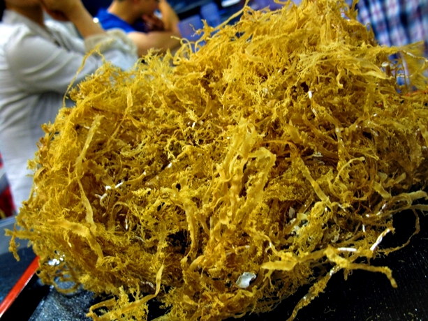 IMG_0672.JPG IMG_0672.JPG