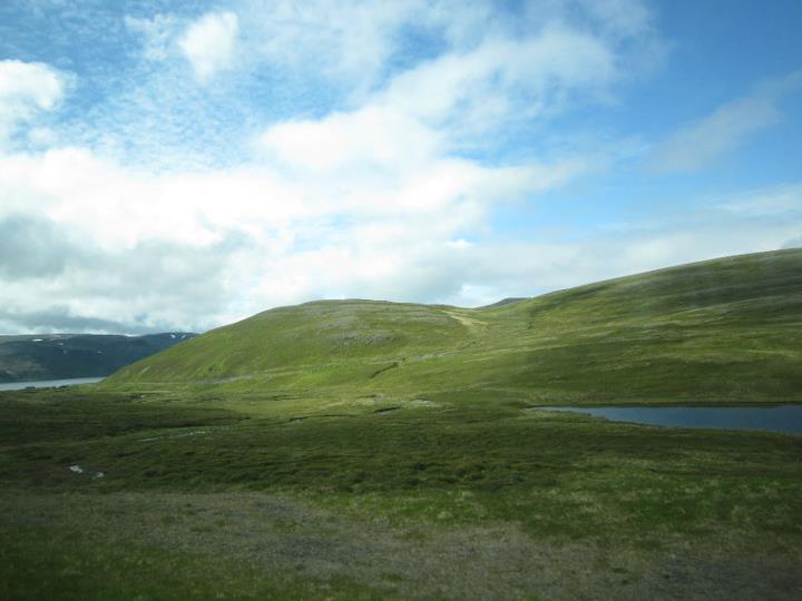 145.jpg 145.jpg
