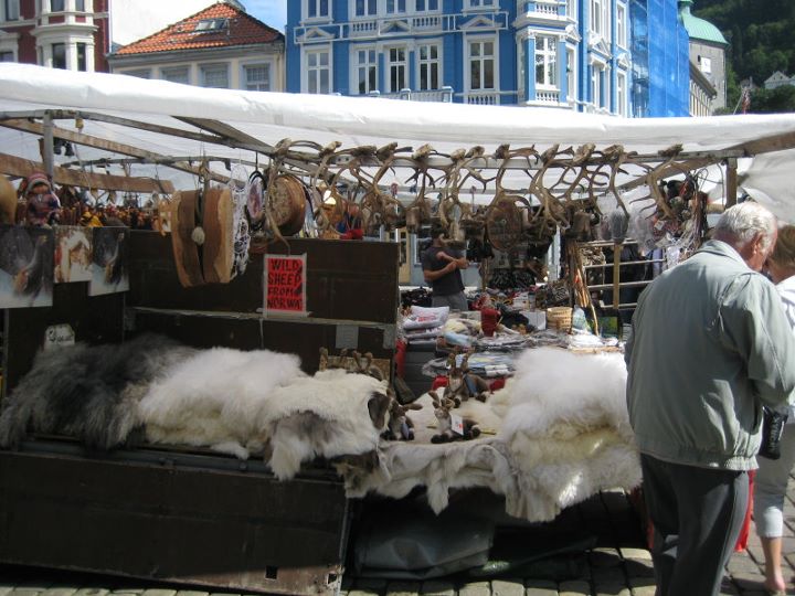 219.jpg 219.jpg