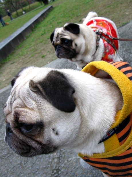 IMG_6205.JPG IMG_6205.JPG