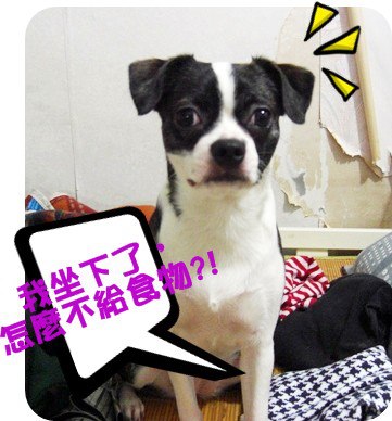 阿bo.jpg 阿bo.jpg