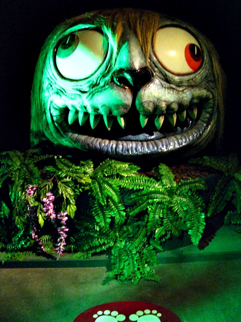 IMG_6135.JPG IMG_6135.JPG
