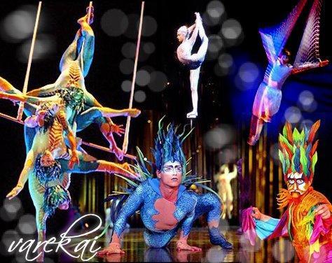 varekai8.jpg