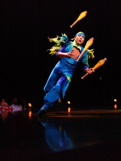 varekai14.jpg