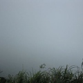 IMG_1623.JPG