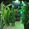 IMG_2645.JPG
