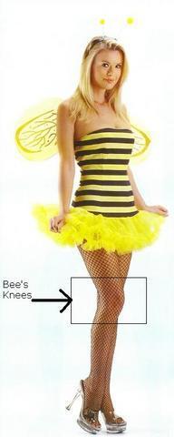 bee's knees.jpg