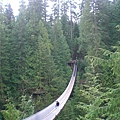 Capilano Suspension Park