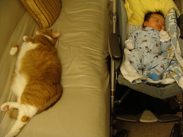 DSC01156.JPG DSC01156.JPG