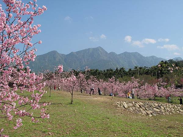 20120205鳳凰山連稜拍攝於小半天石馬公園