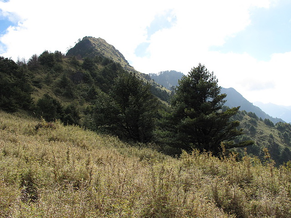 20110226 郡大山沿途風景