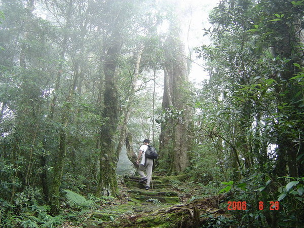 20080830溪頭--天文台--南嶺線--杉林溪