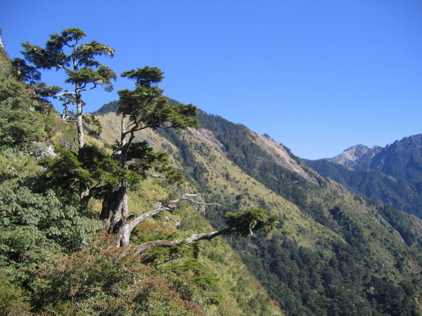 20081220玉山前峰