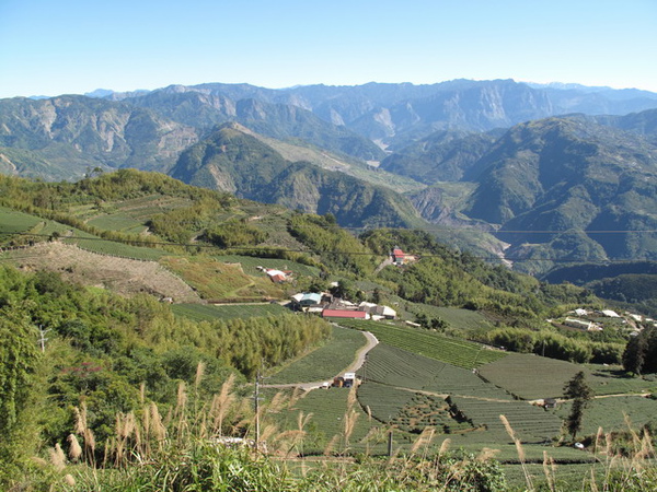 20100110雲嘉大尖山