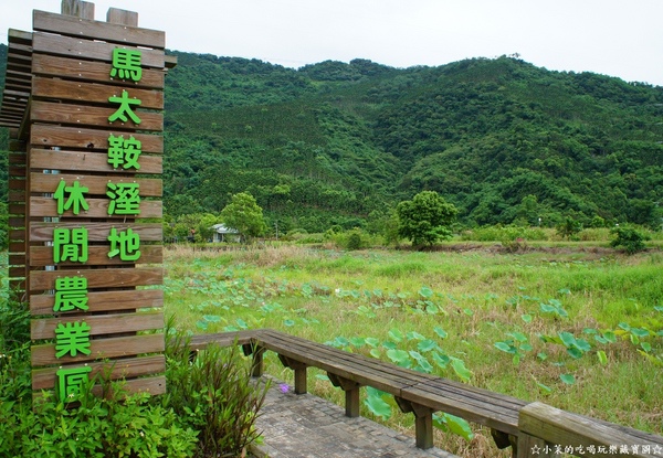 馬太鞍濕地：【花蓮】馬太鞍濕地生態園區，迎風搖曳荷花獨秀！