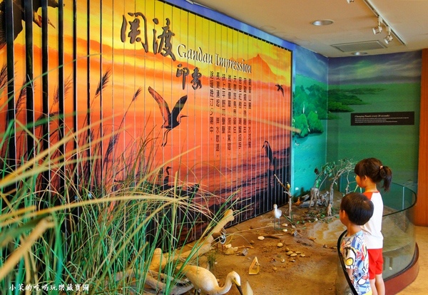 關渡自然公園：【台北】到關渡水鳥公園，與自然共舞～