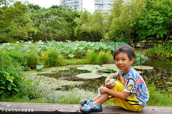 關渡自然公園：【台北】到關渡水鳥公園，與自然共舞～