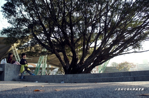 花博公園：【台北】永遠逛不膩的花博園區，小孩與花的浪漫邂逅～