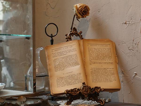 花房裏11.jpg 花房裏11.jpg