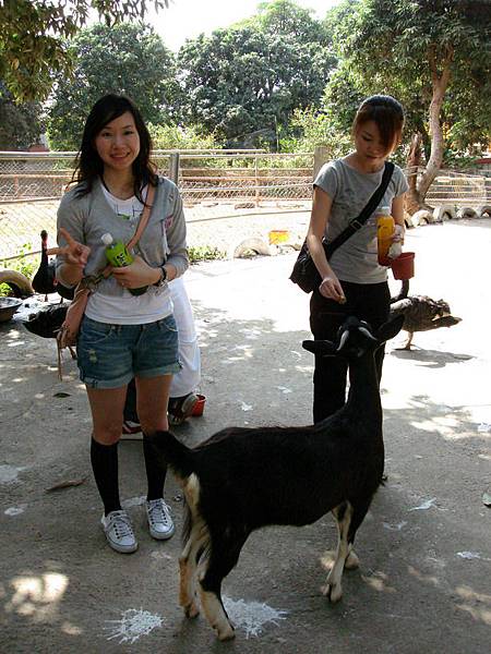 婉婷也很怕但又愛餵...