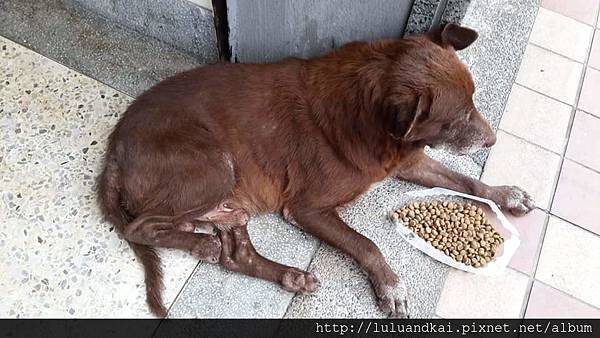 2015-09-07 15.10.08.jpg