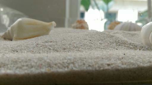 1434713236986.jpg 1434713236986.jpg