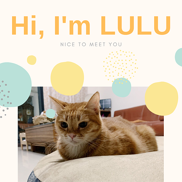 Hi, I'm Lulu (1)