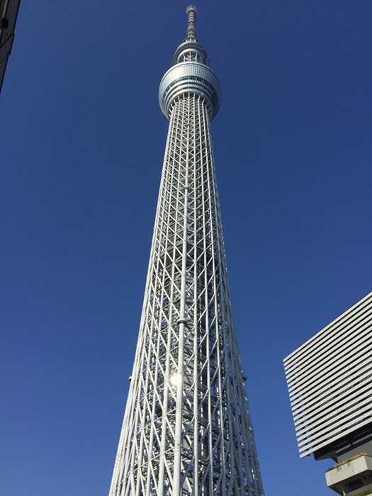 日本配眼鏡 Zoff Disney 晴空塔逛街 Afternoon Tea  sakura櫻花系列Tokyo Solamachi 日本東京自助旅行(77)