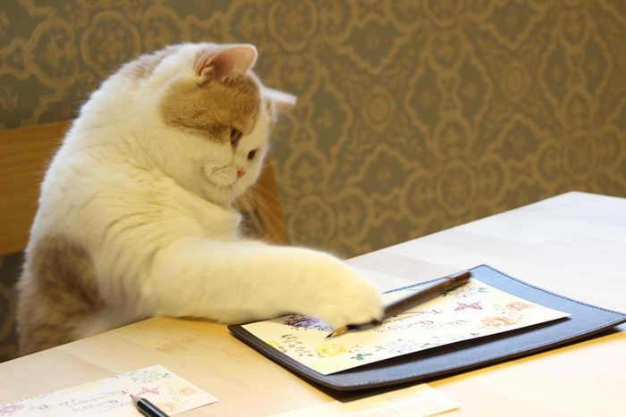 新手的第一堂鋼筆入門課~學寫一手優雅好字~浪漫法式書法花體字情書卡片設計教學-日日好文創韓玉青老師-鋼筆英文花體字-Niceday-親子鋼筆課 (312345239807598)