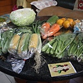 IMG_7366.JPG