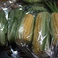 IMG_7367.JPG